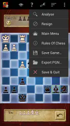 Schach Pro (Chess) screenshot