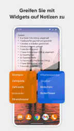 Schlichte Notizen Pro screenshot