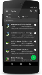 SD Maid 1 Pro: Lizenzschlüssel screenshot
