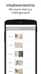 selbst ist der Mann ePaper screenshot