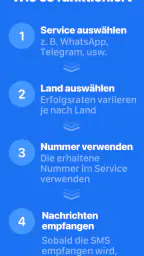 SMS Virtual - SMS empfangen screenshot