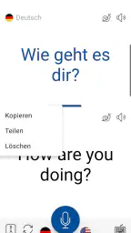 Sofortige Sprachübersetzung screenshot
