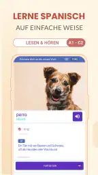 Spanisch Lernen für Anfänger screenshot