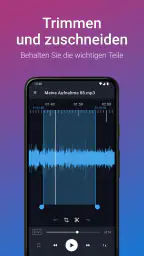 Stimmrekorder Plus Profi screenshot