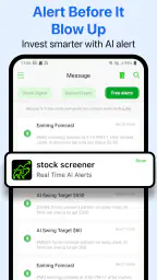Stock Screener, Aktien Filter screenshot