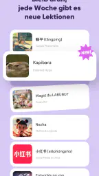 SuperChinese-Chinesisch lernen screenshot