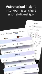 The Pattern: Astrology screenshot