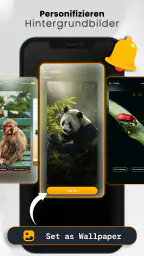 Tiergeräusche und Klingeltöne screenshot