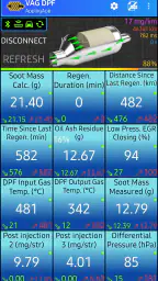 VAG DPF screenshot