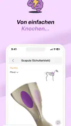 Vetflow - Anatomie lernen screenshot