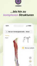 Vetflow - Anatomie lernen screenshot