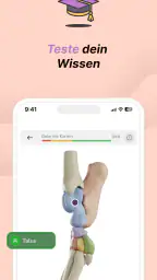 Vetflow - Anatomie lernen screenshot