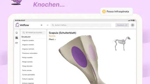 Vetflow - Anatomie lernen screenshot