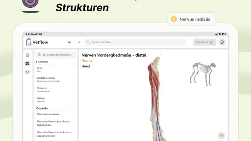 Vetflow - Anatomie lernen screenshot