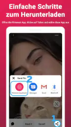 Video-Downloader für Pinterest screenshot
