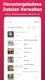 Video-Downloader für Pinterest screenshot