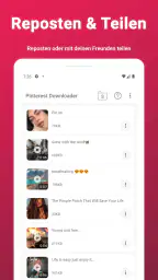 Video-Downloader für Pinterest screenshot