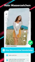 Video Downloader für TT screenshot