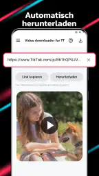 Video Downloader für TT screenshot