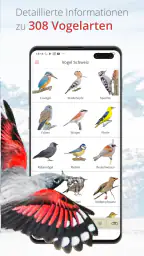 Vogelführer Birdlife Schweiz screenshot