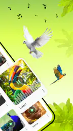 Vogelstimmen screenshot