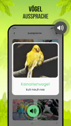 Vogelstimmen screenshot