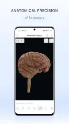 VOKA 3D Anatomie Atlas Lernen screenshot