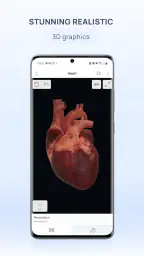 VOKA 3D Anatomie Atlas Lernen screenshot