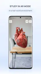 VOKA 3D Anatomie Atlas Lernen screenshot