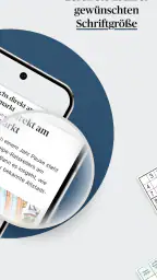 Volksfreund ePaper screenshot