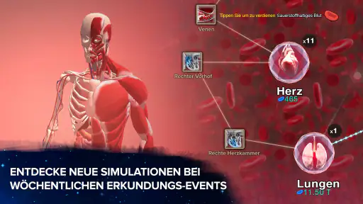 Von Zelle zu Singularität screenshot