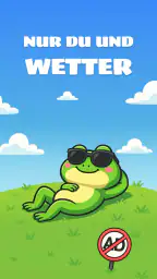 Wetter Plus: Wetter Widget screenshot