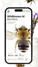 Wildbienen Id BienABest screenshot
