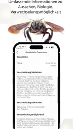 Wildbienen Id BienABest screenshot