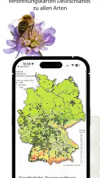 Wildbienen Id BienABest screenshot