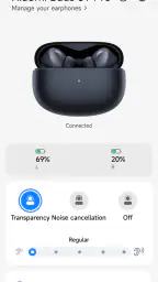 Xiaomi Earbuds screenshot