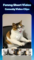 AI Video & MV Maker: Fomio screenshot