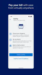 Amex screenshot