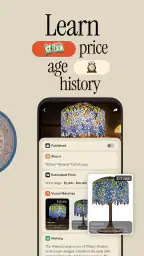 Antique Identifier Zophi screenshot