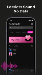 Audio Insight - Offline Music screenshot