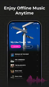 Audio Insight - Offline Music screenshot