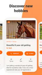 Bazoš screenshot