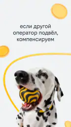 Beeline screenshot