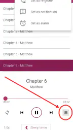 Bible NIV - Audio Bible App screenshot