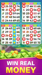 Bingo Real Money: Win Cash screenshot