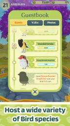 Bird Bed & Breakfast screenshot