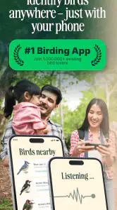 Birdbuddy: ID & Collect Birds screenshot