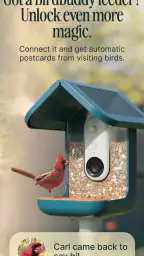 Birdbuddy: ID & Collect Birds screenshot