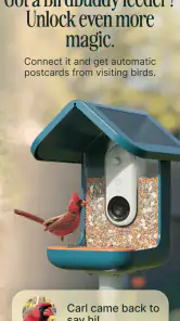 Birdbuddy: ID & Collect Birds screenshot