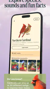 Birdbuddy: ID & Collect Birds screenshot